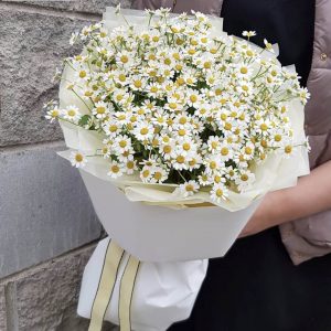 Букет из 15 белых ромашек — Букет полевых цветов