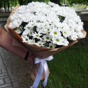 Букет из крупных ромашек — Букеты цветов
