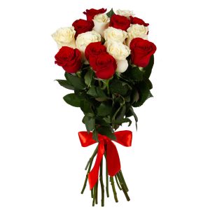 Букет из 15 красно-белых роз 70 см — Розы