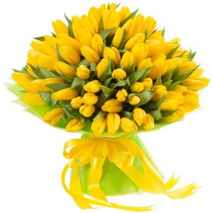 Букет из 75 желтых тюльпанов — Тюльпаны