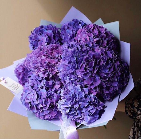 Букет из 11 фиолетовых гортензий — Букеты цветов