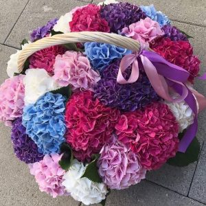 25 гортензий в корзине Микс — Букеты цветов