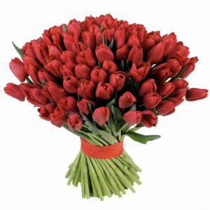 Букет из 75 красных тюльпанов — Большие тюльпаны недорого