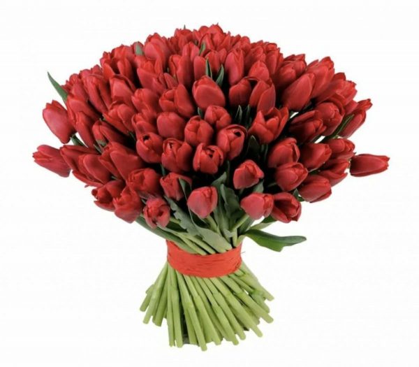 Букет из 101 красного тюльпана — Букеты цветов