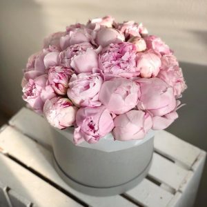25 пионов в шляпной коробке — Букеты цветов