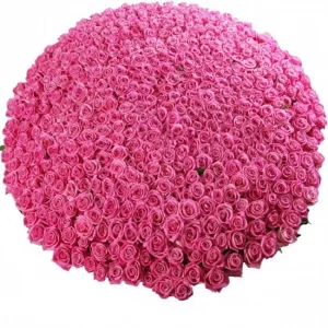 Букет из 1001 розовой розы — Букеты цветов