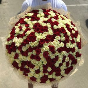 301 красно-белая роза — Букеты цветов