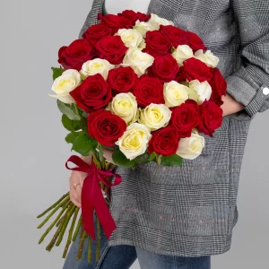 Букет 35 красно-белых роз (60 см.) — Розы