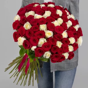 Букет из 75 красно-белых роз 60 см — Розы