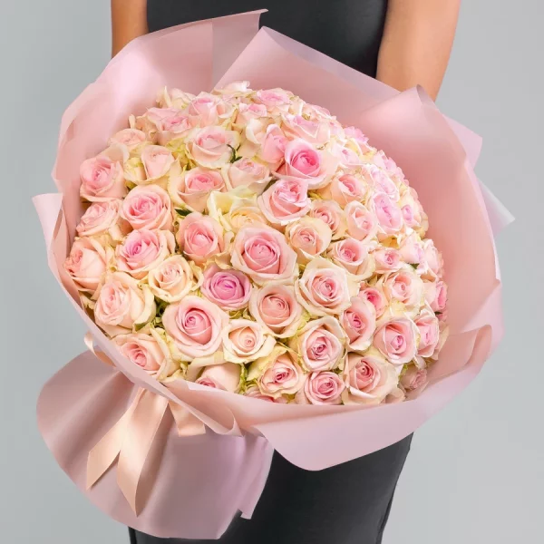 75 светло-розовых роз в упаковке 60 см