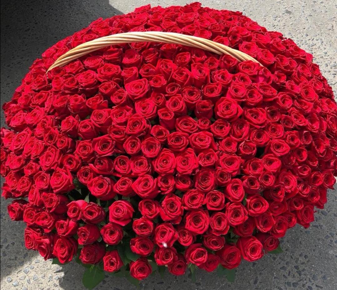 Купить букет из 351 красной розы в корзине по доступной цене с доставкой в  Москве и области в интернет-магазине Город Букетов