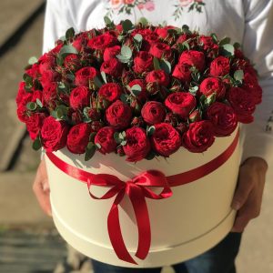 75 красных пионовидных роз в коробке