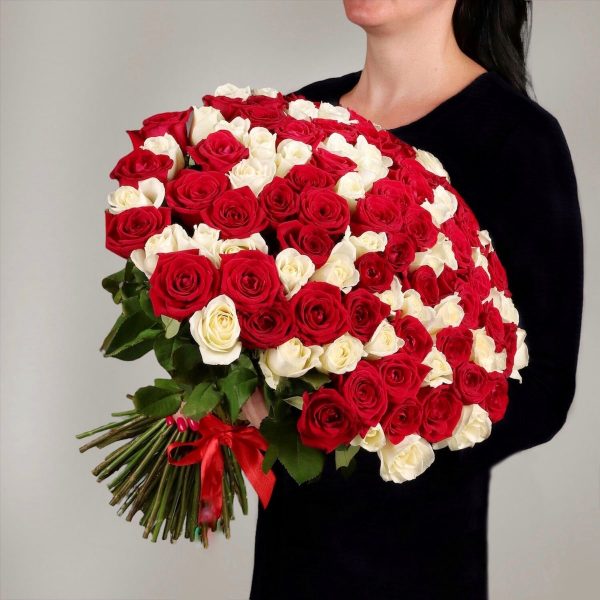 Букет из 101 красно-белой розы 60 см