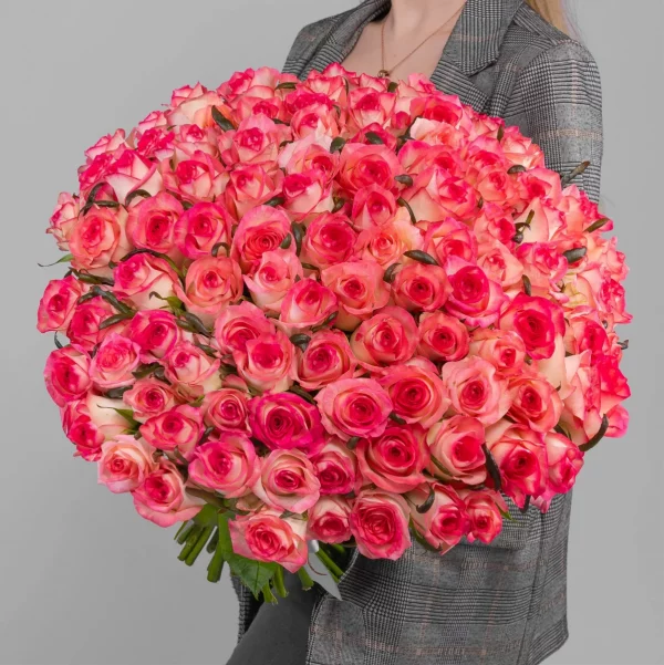 Букет из 101 розово-белых роз (60 см.)