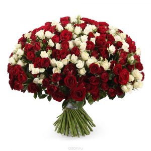 Букет из 101 бело-красной кустовой розы