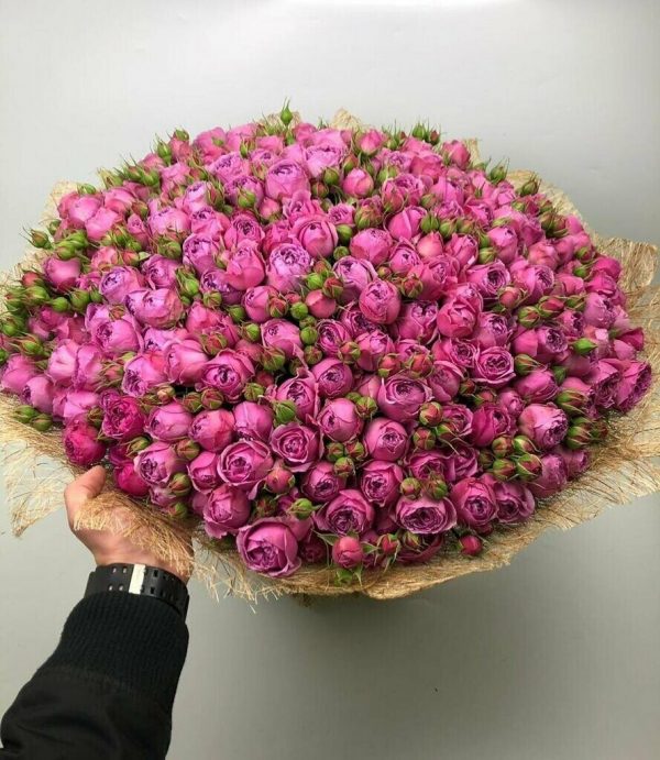 51 кустовая пионовидная роза бомбастик — Доставка роз