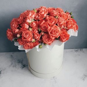 25 оранжевых кустовых роз в коробке — Розы