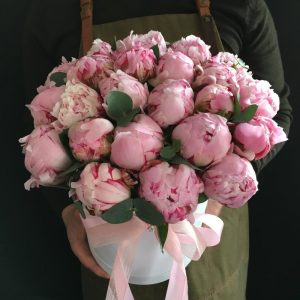 Букет из 25 розовых пионов в коробке — Пионы