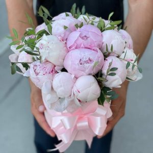 19 розовых пионов в коробке — Пионы