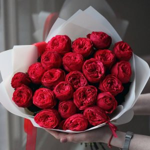 27 нежных пионовидных роз «Версаль» — 27 красных роз