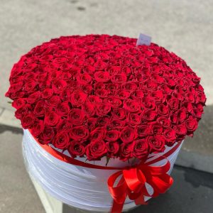 Букет из 201 красной розы в коробке —