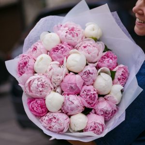 Букет из 25 бело-розовых пионов — Пионы