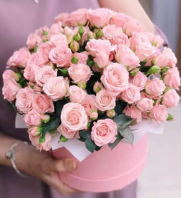 25 розовых кустовых роз в коробке