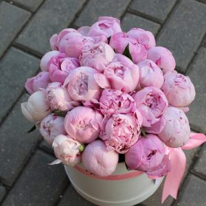 25 розовых пионов в коробке — Пионы