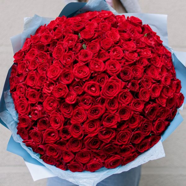 Букет из 151 красной розы 60 см