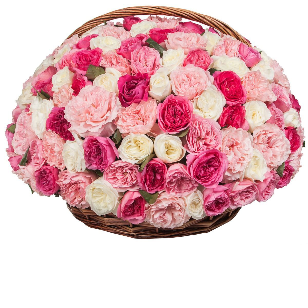 Купить розы в новосибирске недорого. Корзина пионовидных роз. Большие букеты цветов.