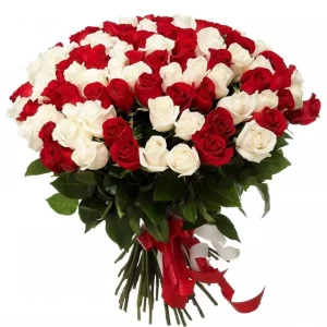 Букет из 63 красно-белых роз 50 см — 63 розы