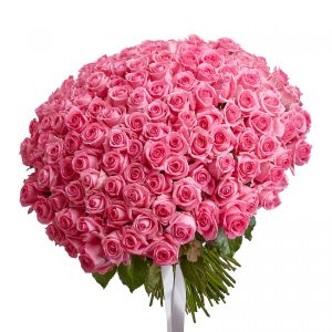 Букет из 155 розовых роз — 155 роз