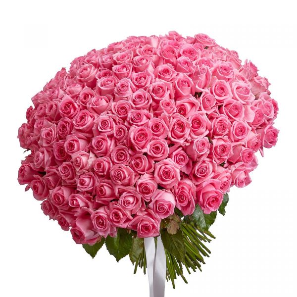Букет из 155 розовых роз