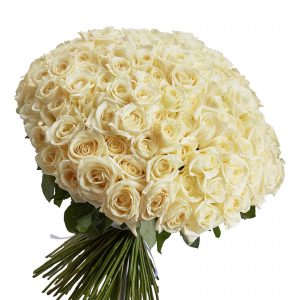 Букет из 155 белых роз — 155 роз
