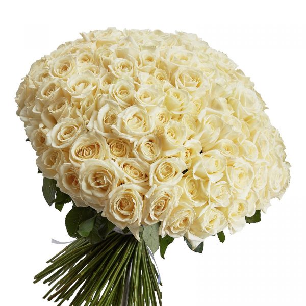 Букет из 155 белых роз