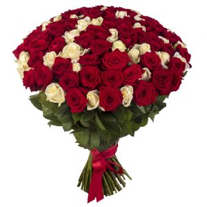 Букет из 75 красно-белых роз 80 см — Розы