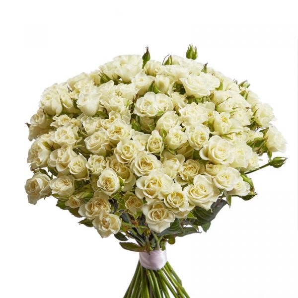 Букет из 51 кустовой белой розы