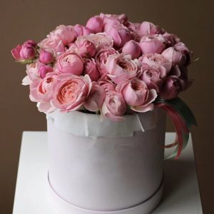 25 пионовидных роз в белой коробке