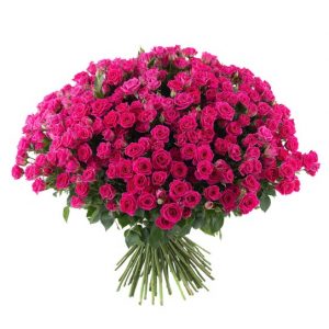 Букет из 51 кустовой розовой розы