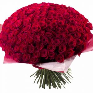 Букет из 351 красной розы — 350 роз