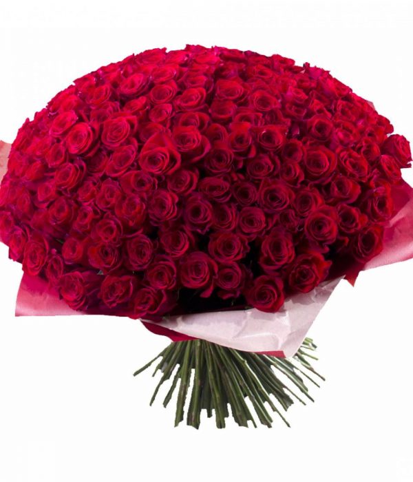 Букет из 301 красной розы