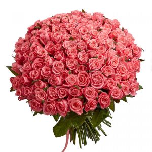 Букет из 151 коралловой розы 70 см — 150 роз