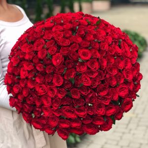 201 красная роза 70 см — 200 роз