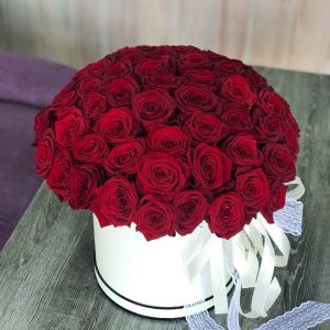 51 красная роза в коробке — Розы