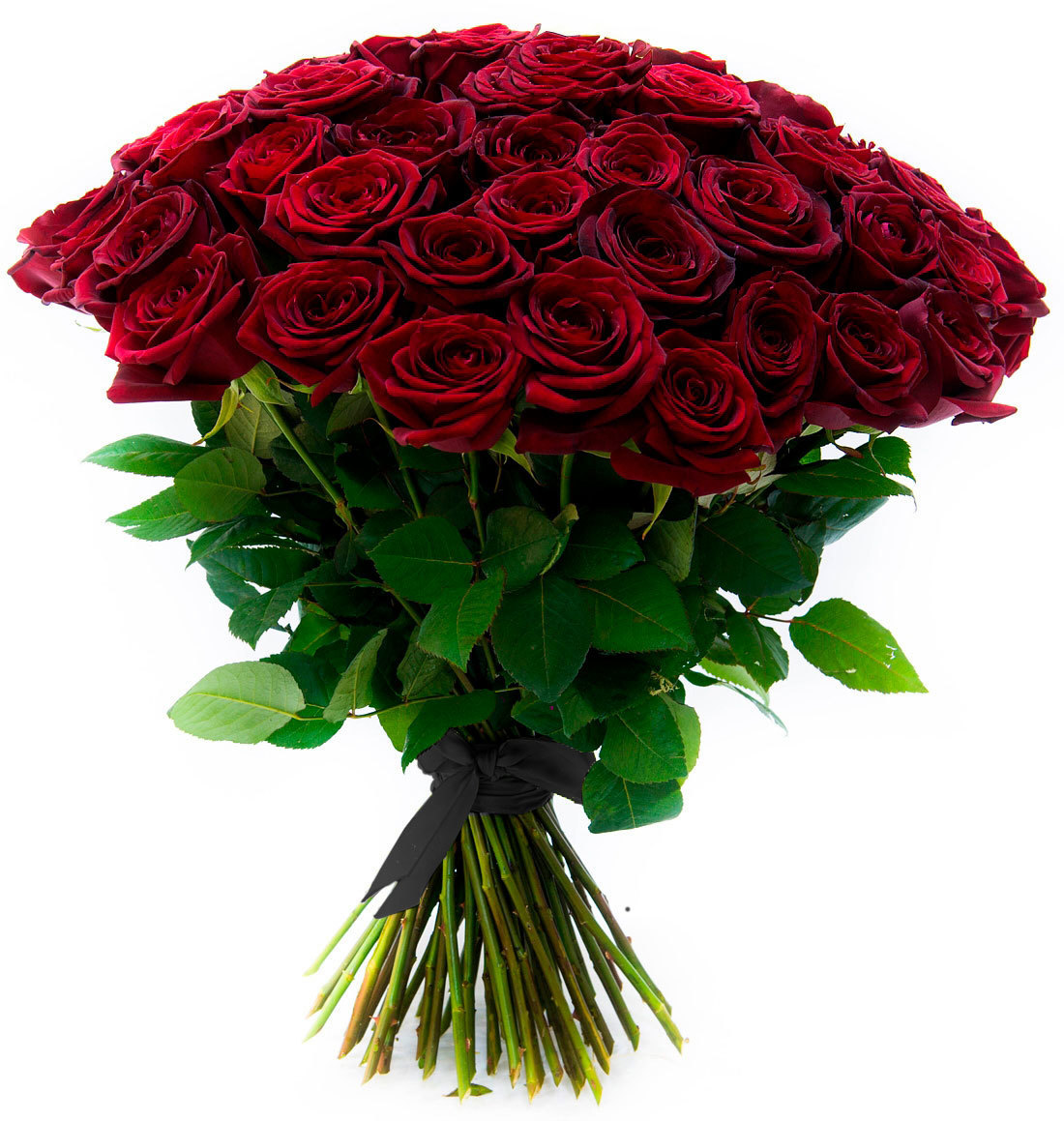 букет темно бордовых роз