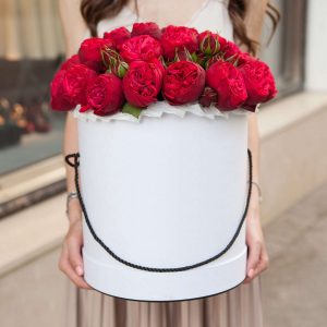 25 пионовидных красных роз в белой коробке