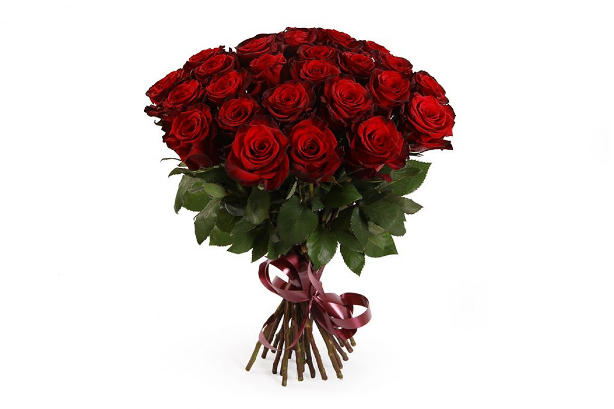 Бордовые розы купить. Букет из 25 эквадорских роз.