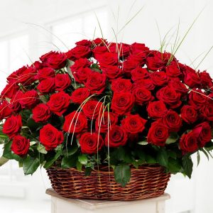 101 красная роза в корзине с зеленью — 101 голландская роза