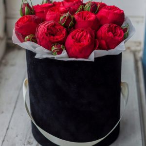 15 красных пионовидных роз в коробке —