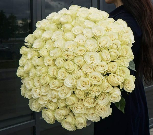 Букет из 101 белой розы 90 см